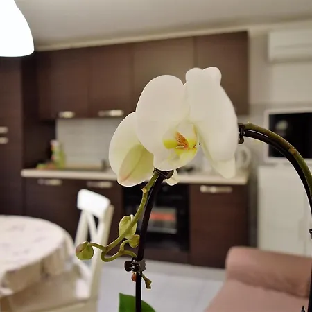 Apartment Old Town